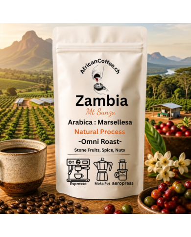 Zambia - Mt Sunzu - Marsellesa - Natural | Omni (Medium) Roast