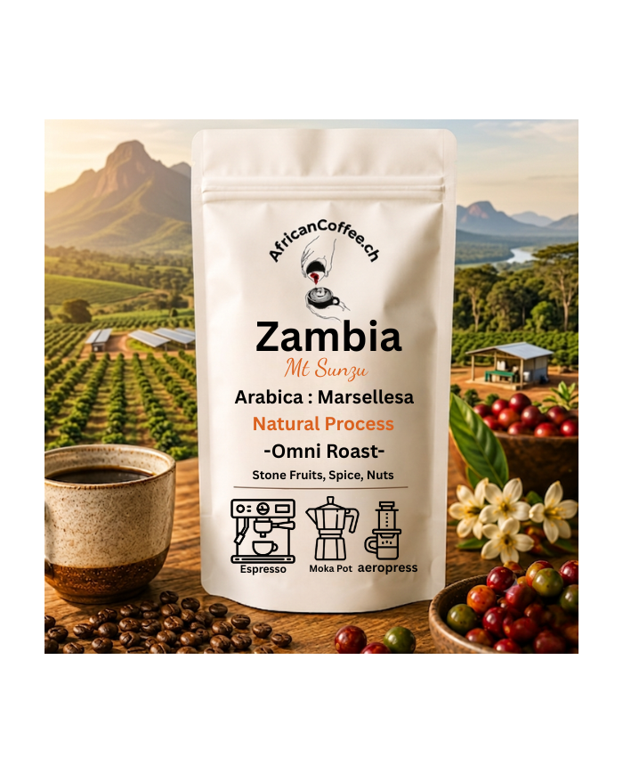Zambia - Mt Sunzu - Marsellesa - Natural | Omni (Medium) Roast