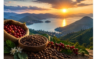 Congo’s Coffee Is Having a Moment — And the World Is Finally Paying Attention