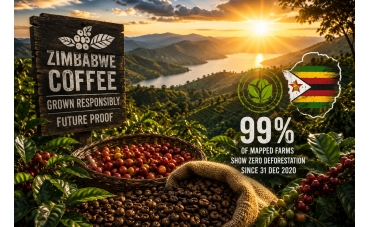 Zimbabwe’s Coffee Comeback Has a New Advantage: It’s Green, Traceable and EU-Ready
