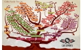 Africa’s Coffee Family Tree: The Wild Species That Could Save the Future of Coffee